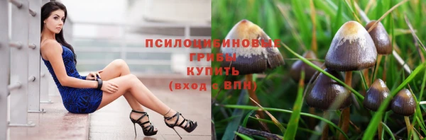 эйфоретик Аркадак