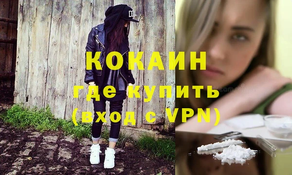 дживик Арсеньев