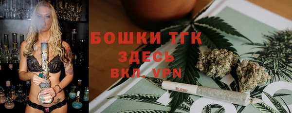 дживик Арсеньев