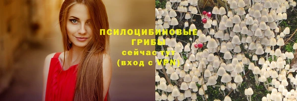 эйфоретик Аркадак