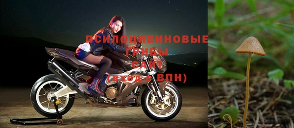 дживик Арсеньев